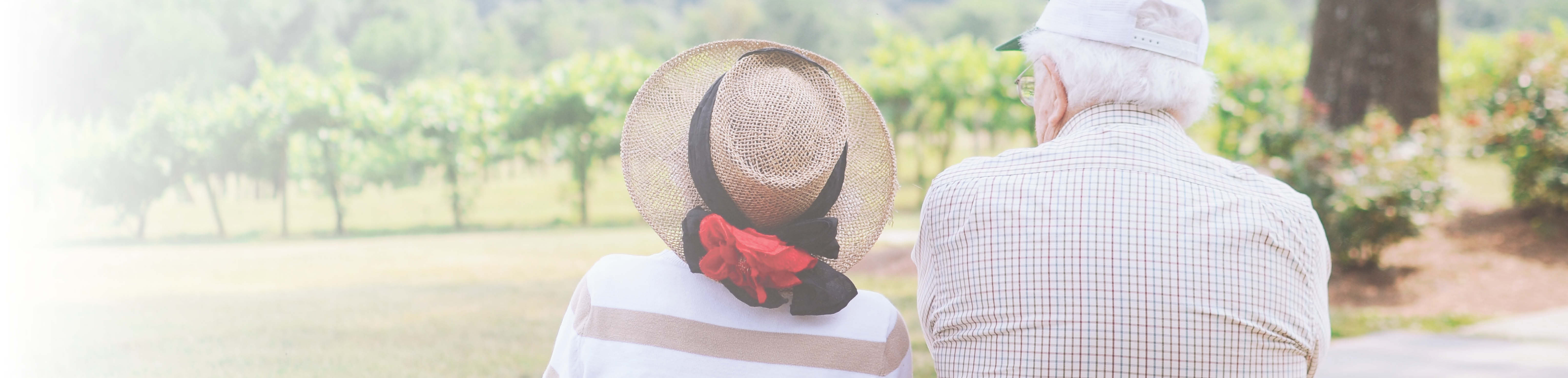 Dementia Blog