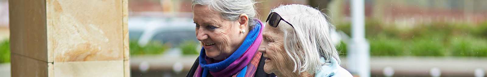 Shopping and Appointment Assistance for Seniors