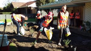 Volunteers gardening