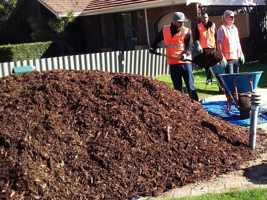 mulching the garden in summer helps